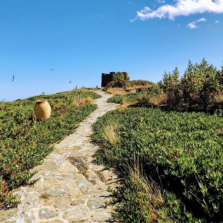 Isla Privada En Cadaques De Ensueno Con 11 Habitaciones Dobles Con Bano Privado Y Piscina Eksteriør billede