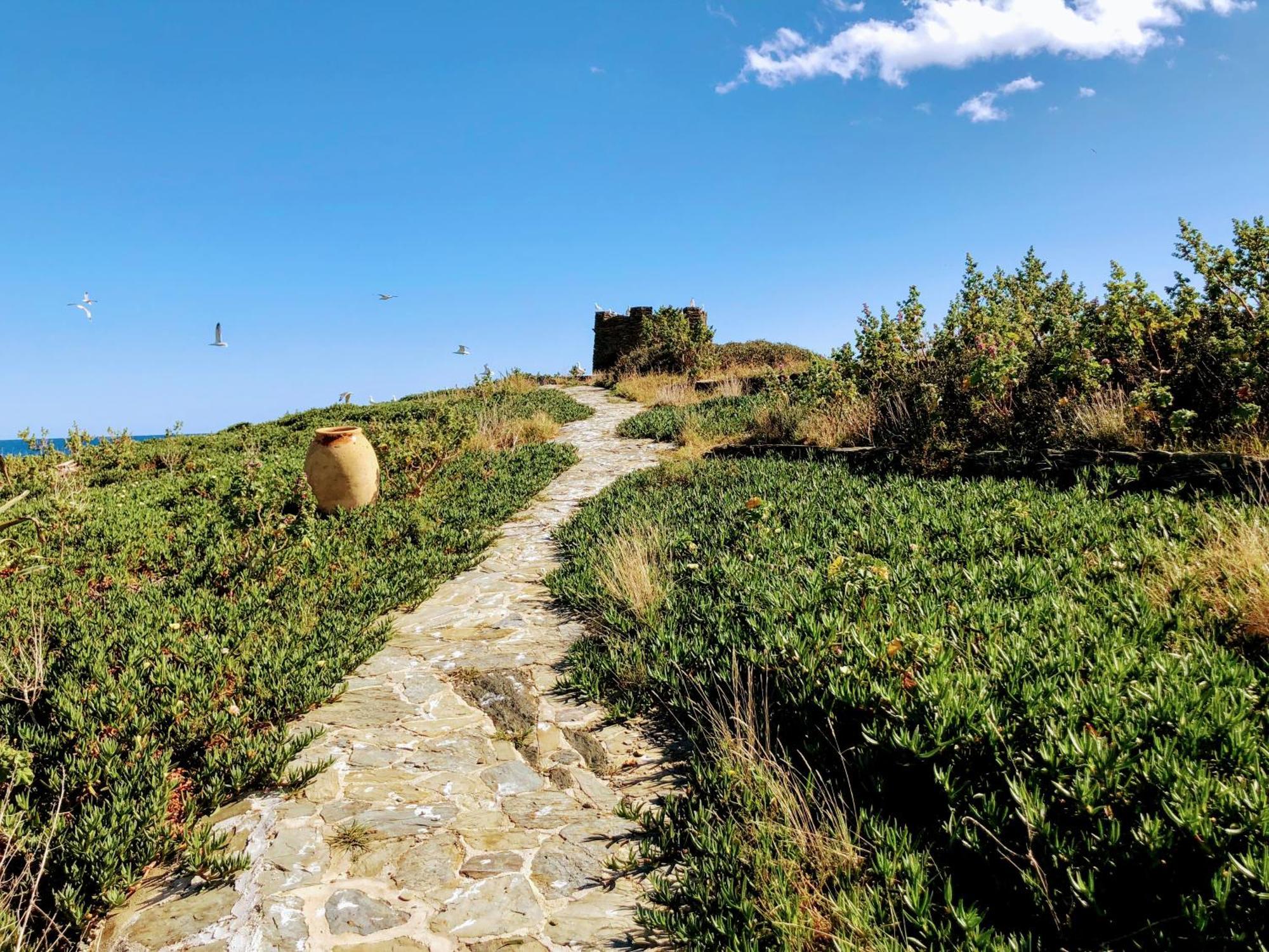 Isla Privada En Cadaques De Ensueno Con 11 Habitaciones Dobles Con Bano Privado Y Piscina Eksteriør billede
