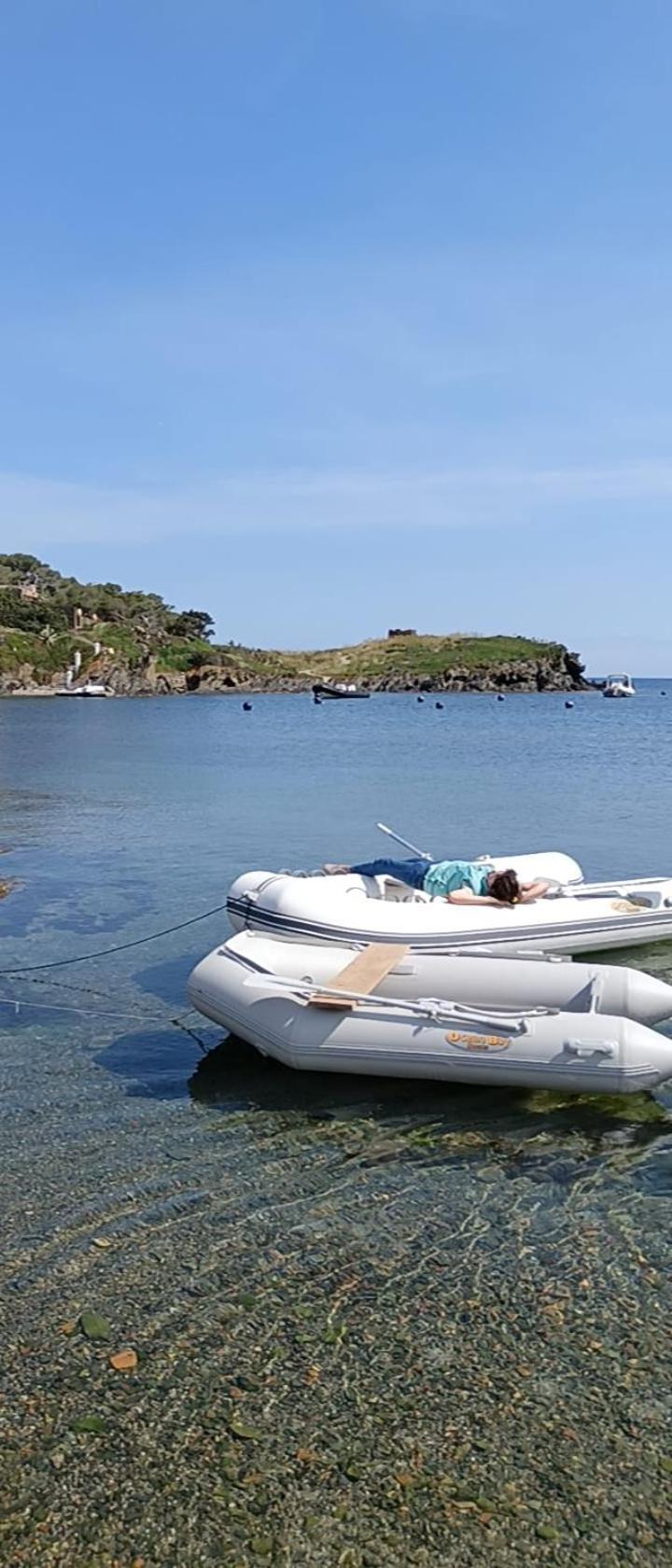 Isla Privada En Cadaques De Ensueno Con 11 Habitaciones Dobles Con Bano Privado Y Piscina Eksteriør billede