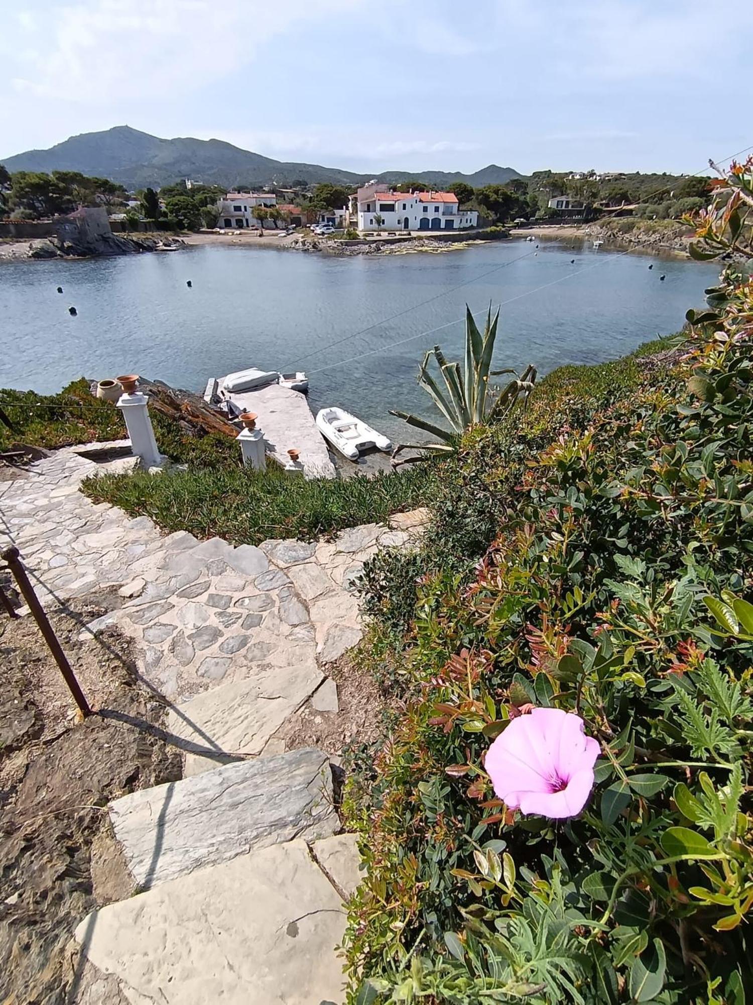 Isla Privada En Cadaques De Ensueno Con 11 Habitaciones Dobles Con Bano Privado Y Piscina Eksteriør billede