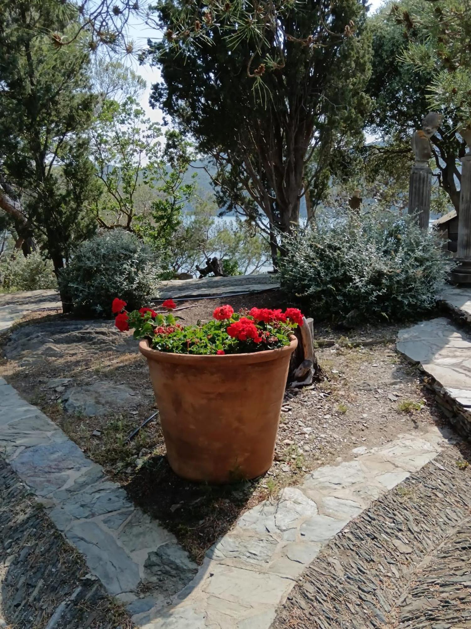 Isla Privada En Cadaques De Ensueno Con 11 Habitaciones Dobles Con Bano Privado Y Piscina Eksteriør billede