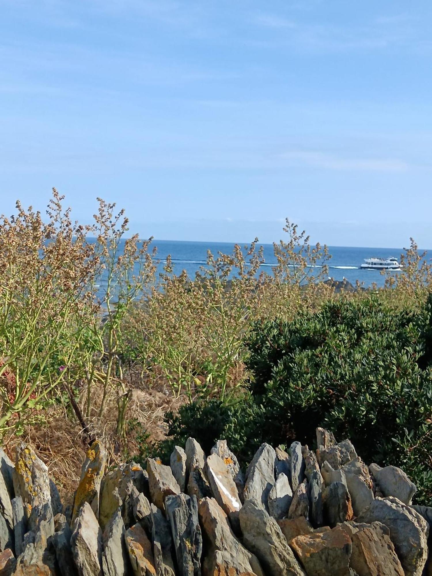 Isla Privada En Cadaques De Ensueno Con 11 Habitaciones Dobles Con Bano Privado Y Piscina Eksteriør billede