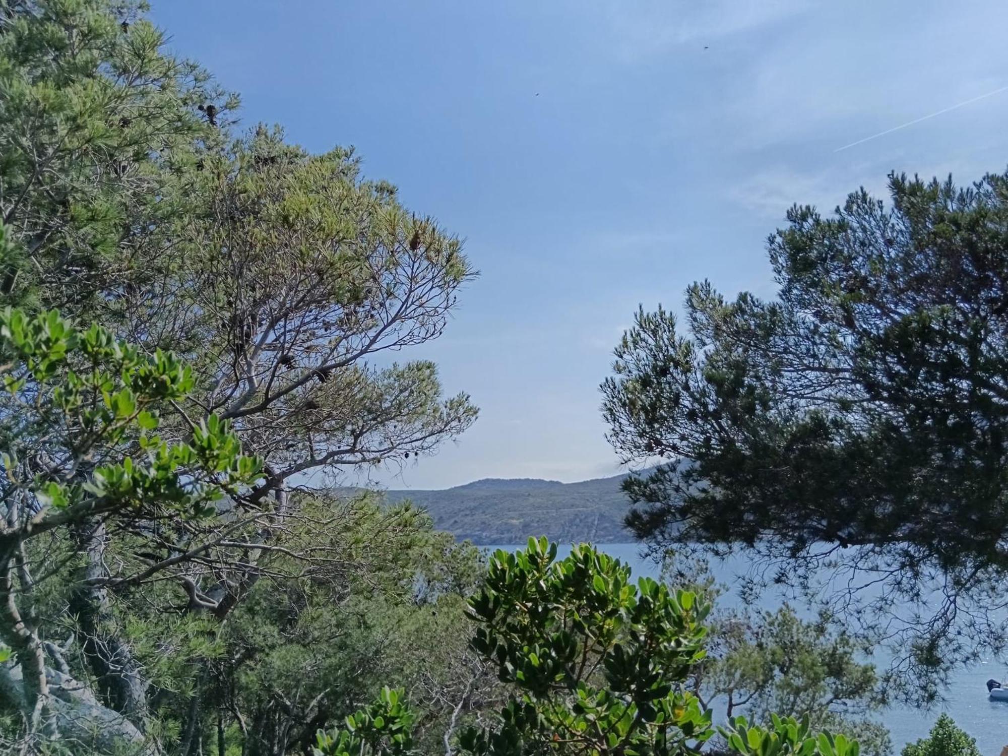 Isla Privada En Cadaques De Ensueno Con 11 Habitaciones Dobles Con Bano Privado Y Piscina Eksteriør billede